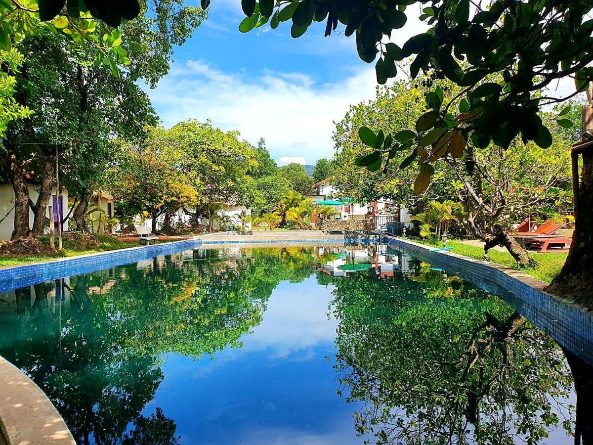 Bohemiaz Resort And Spa Kampot Eksteriør bilde